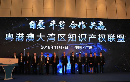 成立粵港澳大灣區(qū)知識產(chǎn)權(quán)聯(lián)盟 黃埔區(qū)廣州開發(fā)區(qū)為企業(yè)創(chuàng)新發(fā)展賦能